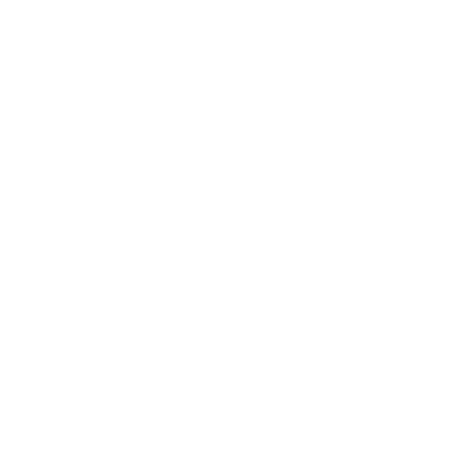 Megavisores